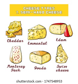 Vector illustration of cheese types and sorts