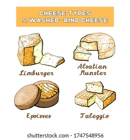 Vector illustration of cheese types and sorts