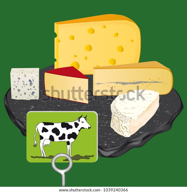 Vector Illustration Cheeses Made Cows Milk Stock Vector Royalty Free 1039240366 