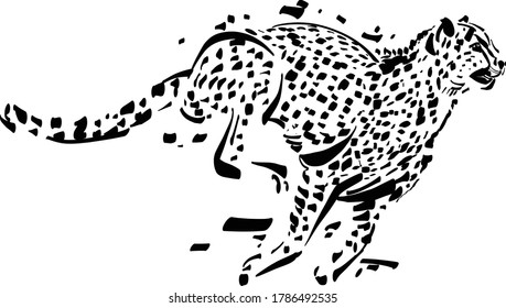 the vector illustration of the cheetah