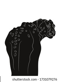 vector illustration of a cheetah, drawing silhouette, vector, white background