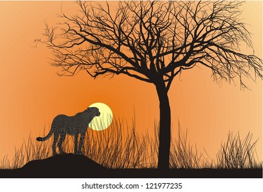 vector illustration cheetah on termite hill at sunset