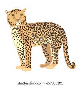 Vector Illustration Cheetah Standing
