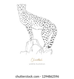 Vector illustration of cheetah standing on dry tree. Hand drawn ink realistic sketching isolated on white. Perfect for logo branding t-shirt coloring book design.