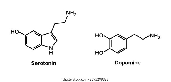 vector illustration of chemical structure of serotonin and dopamine on white background