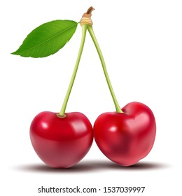 Vector illustration. Cherries realistic 3d icon isolated on white background.