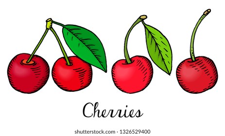 Vector Illustration of Cherries Sketch Style