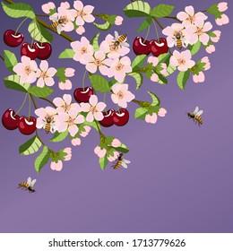 Vector illustration of a cherry with bees.Cherry tree and bees on a colored background.