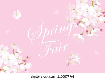 Vector illustration of cherry blossom background