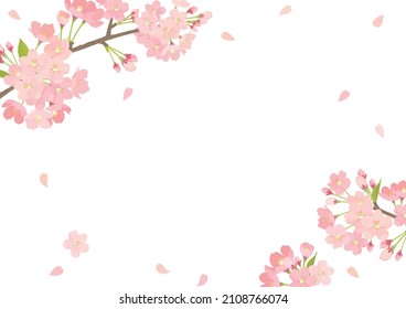 Vector illustration of cherry blossom background