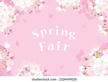 Vector illustration of cherry blossom background