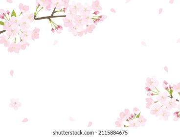 Vector illustration of cherry blossom background