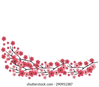 vector illustration of a cherry blossom background