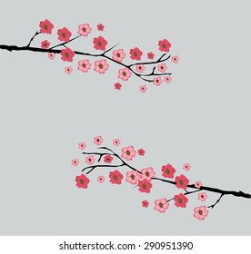 vector illustration of a cherry blossom background