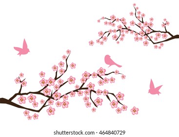 vector illustration of cherry blossom background with birds