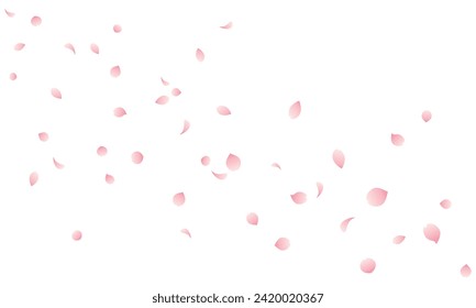 Vector illustration of Cherry blossom blizzard with falling petals