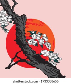 vector illustration of a cherry blossom branch on a red sun background