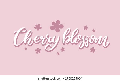 Vector illustration of cherry blossom brush lettering. Seasonal background. Spring badge, card, invitation, banner template. Spring lettering typography poster. EPS 10