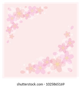 Vector illustration of cherry blossom flower background.