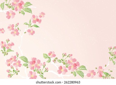 Vector illustration of Cherry blossom flowers with leaves