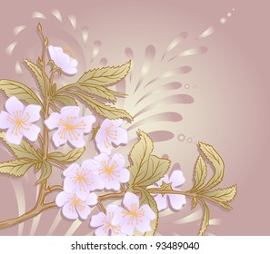 Vector illustration with cherry blossom for greeting card.