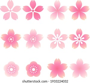 Vector illustration of cherry blossom icon