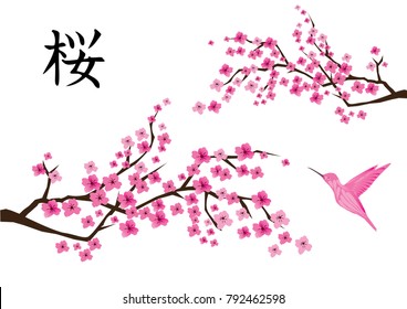 vector illustration of cherry blossom with Japanese text and pink hummingbird.