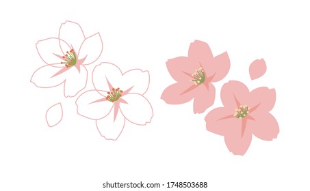 Ilustración vectorial | Pétalos de flores de cerezo