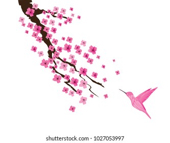 vector illustration of a cherry blossom with pink hummingbird