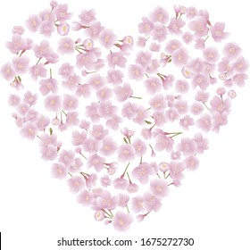 Vektorillustration der Kirschblüte in rosafarbenem Herzen