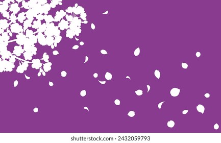 Vector illustration of Cherry blossom silhouette background with falling petals (purple)