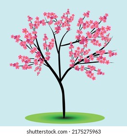 Vector illustration of a cherry blossom tree, isolated on a bright blue background