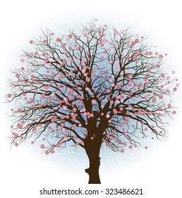 Vector illustration of cherry blossom tree.