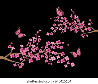 vector illustration of cherry blossom with.