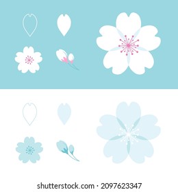 Vector illustration of cherry blossoms.