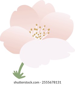 Vector illustration of cherry blossoms