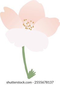 Vector illustration of cherry blossoms