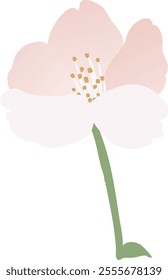 Vector illustration of cherry blossoms