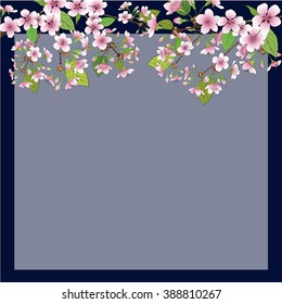 Vector illustration - cherry blossoms.