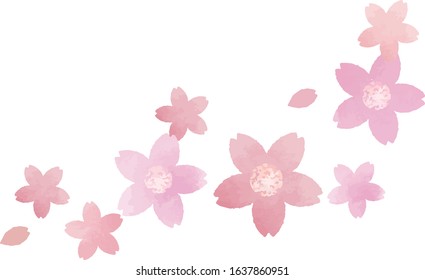 Vector Illustration | Cherry blossoms flying in the wind -Watercolor style-