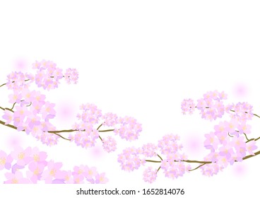 Vektorillustration Illustration von Kirschblüten. In voller Blüte.Blumenhintergrund.