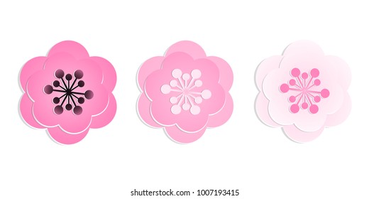 Vector illustration of cherry blossoms in paper art style. 3d cut paper flowers sakura in white and pink color.