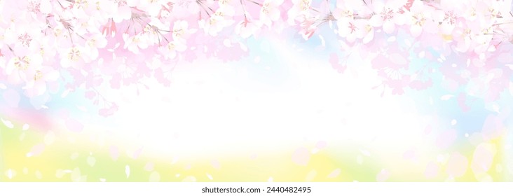 Vector illustration of cherry blossoms and rape blossoms in full bloom under the spring sky