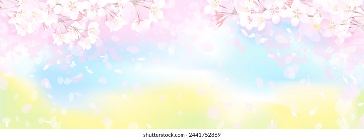 Vector illustration of cherry blossoms and rape blossoms in full bloom under the spring sky