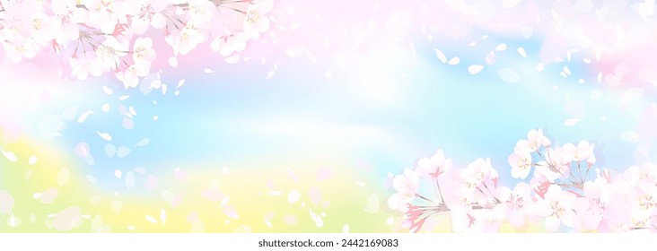 Vector illustration of cherry blossoms and rape blossoms in full bloom under the spring sky