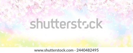 Vector illustration of cherry blossoms and rape blossoms in full bloom under the spring sky