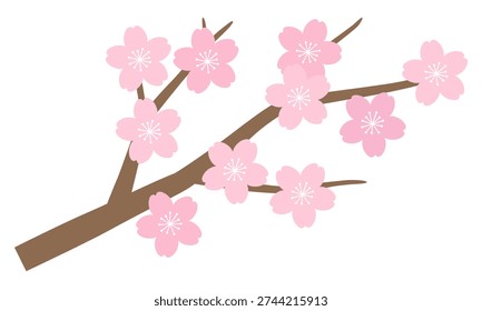 Vector illustration of cherry blossoms. Spring, Sakura, branches, cherry tree