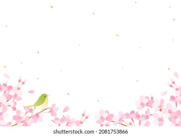 Vector illustration of cherry blossoms and warblers