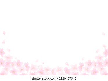 Vector illustration of cherry blossoms and white background

translation: sakura (cherry-blossom) 