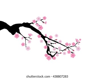 vector illustration of cherry branch in blossom
